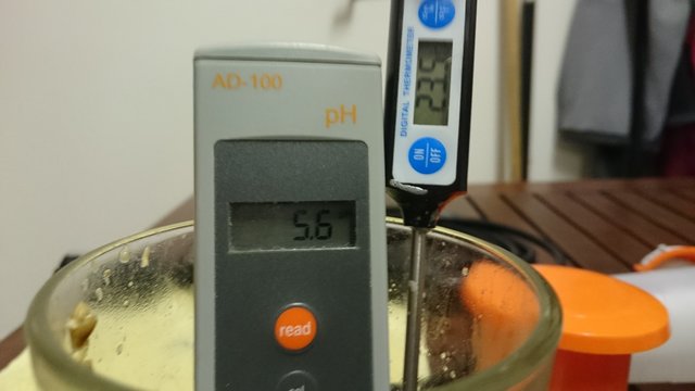 Nach Milchsäure (Temperatur der Probe zu hoch aber das Messgerät sollte eigentlich kompensieren)
