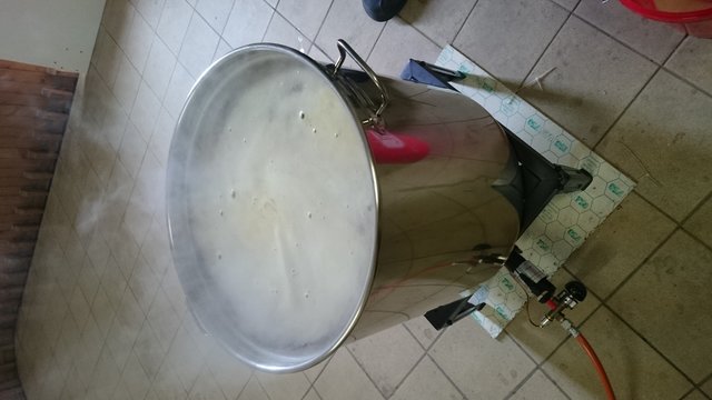 Hopfen kochen (Simco, Perle, Citra und Cascade) - zum ersten und vermutlich letzten Mal ohne Hopfensäcke