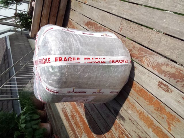 polsi (Mittel).JPG