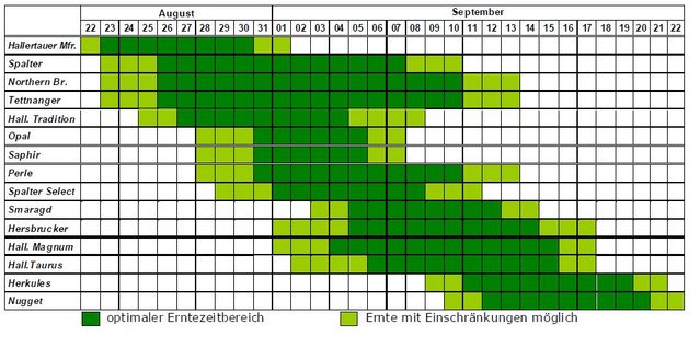 Unbenannt.JPG