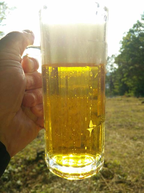Festbier-Verkostung.jpg