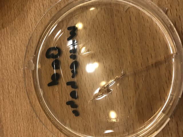 IMG_2840.jpg (1.97 MiB) 11175 mal betrachtet Probe Bad Wasserhahn