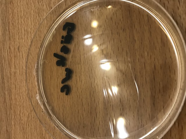 IMG_2842.jpg (1.91 MiB) 11175 mal betrachtet Probe Gäste-WC