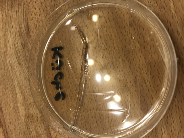 IMG_2843.jpg (2.09 MiB) 11175 mal betrachtet Probe Küche