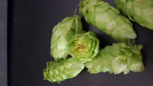 20180824_175626.jpg