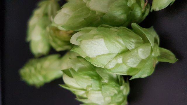 20180824_175643.jpg