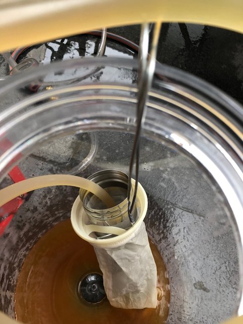 IMG_8919.jpg (266.32 KiB) 3204 mal betrachtet Hopspider im Monofilamentmantel. War aber kaum Schmodder drin, die Dolden haben ein gutes Filterbett gebildet.