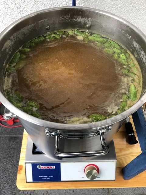 Eine Handvoll frischer Hopfen durfte schon mitkochen