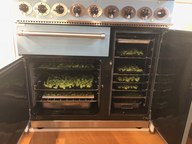 IMG_8921.jpg (264.74 KiB) 3204 mal betrachtet Hopfendarre für den Rest der Ernte