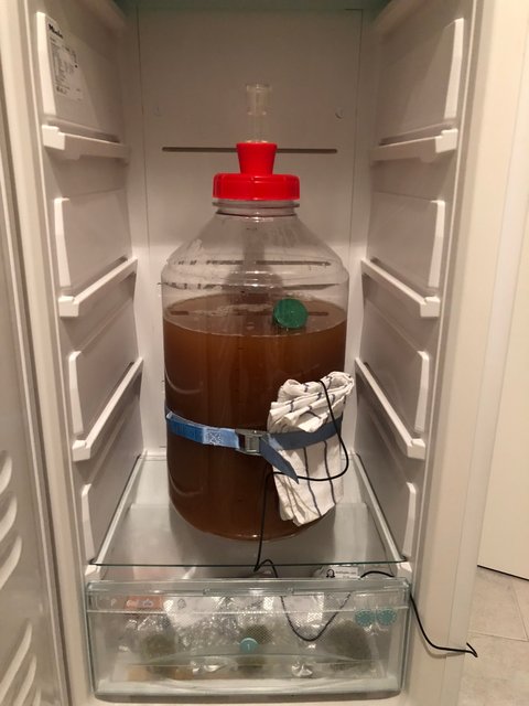 IMG_8920.jpg (205.29 KiB) 3204 mal betrachtet Gärkühlschrank mit Inkbird