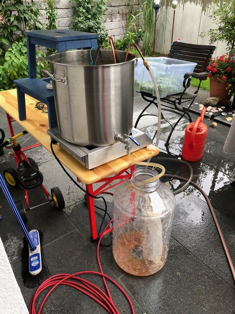 IMG_8918.jpg (535.26 KiB) 3204 mal betrachtet Hopfenseihen in den Fermonster