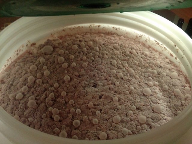 Bilder Lambic