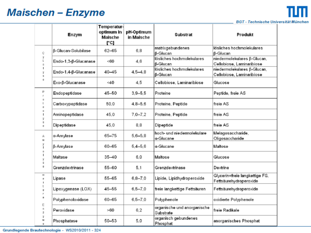EnzymeUndDerenOptimum.PNG