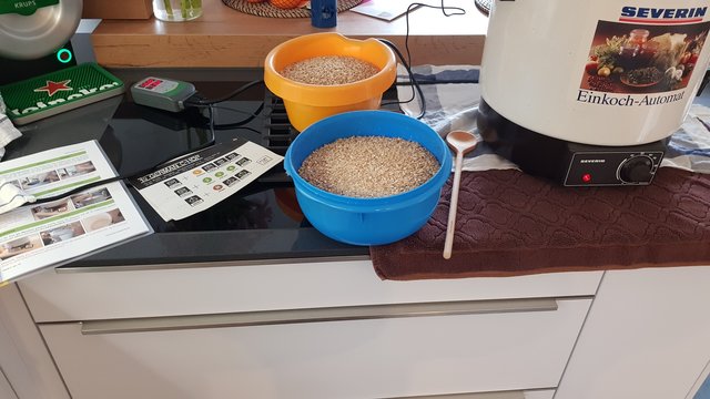20180920_172438.jpg