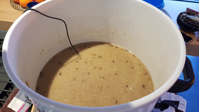 20180920_183649.jpg