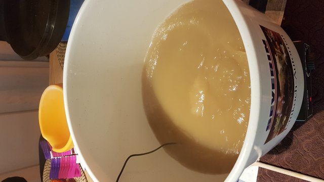 20180920_200327.jpg
