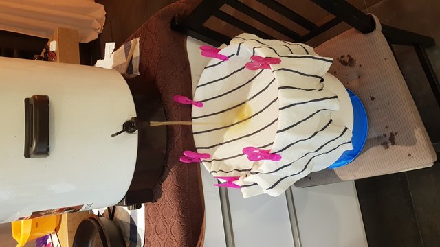 20180920_213416.jpg