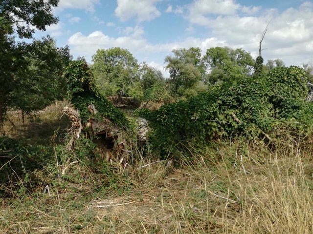 K1024_IMG_20180920_140126.JPG