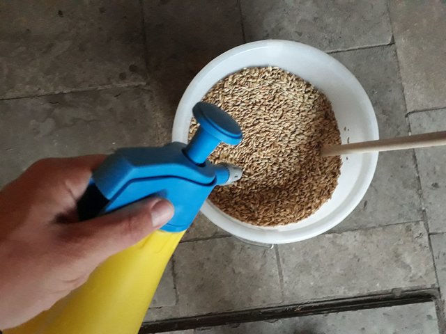 2018-09-25 06.54.38.jpg