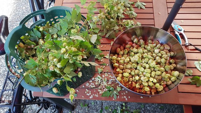 20181006_120527.jpg