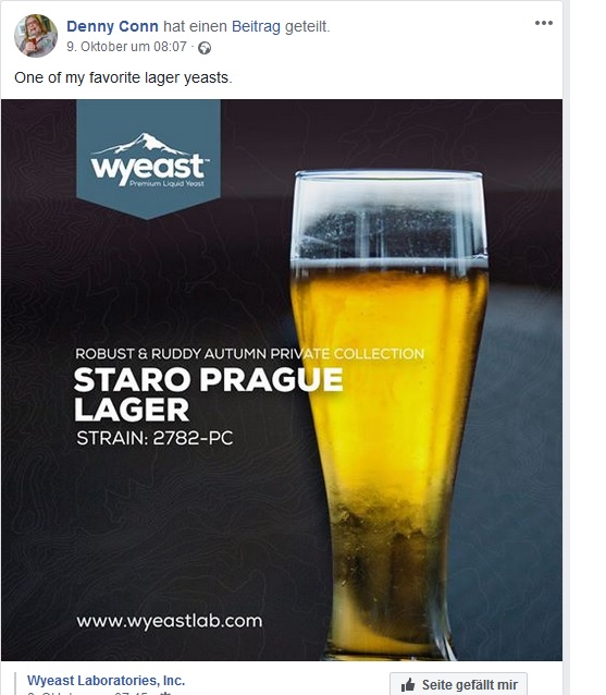 lageryeast.jpg