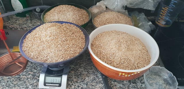 20181013_124511.jpg