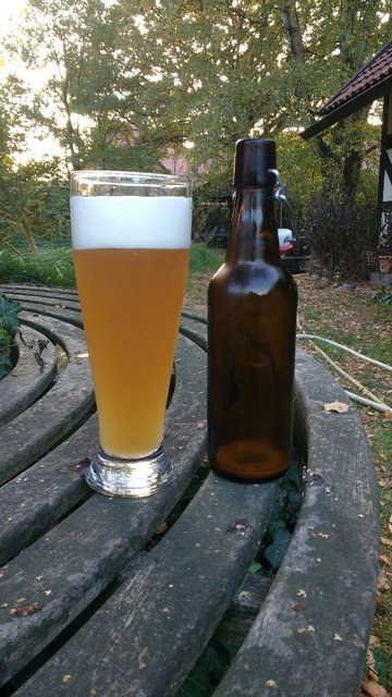 Weizen1.jpg