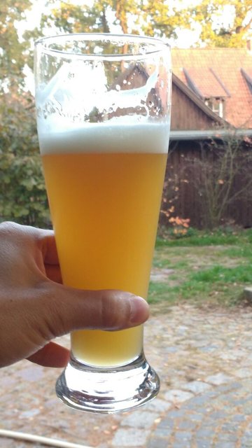 Weizen2.jpg