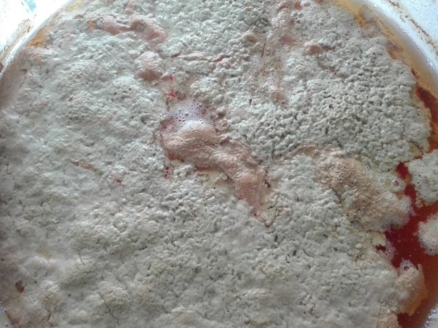 Rotes_01.JPG