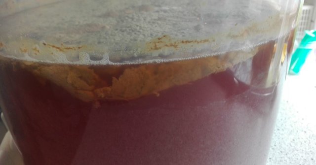 Rotes_03.JPG