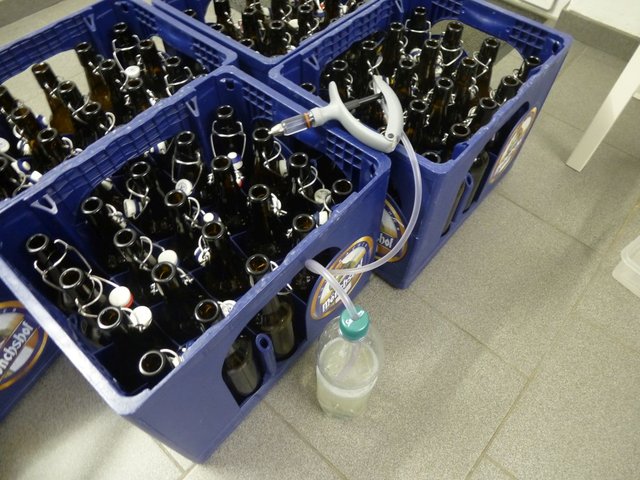 P1070782.JPG