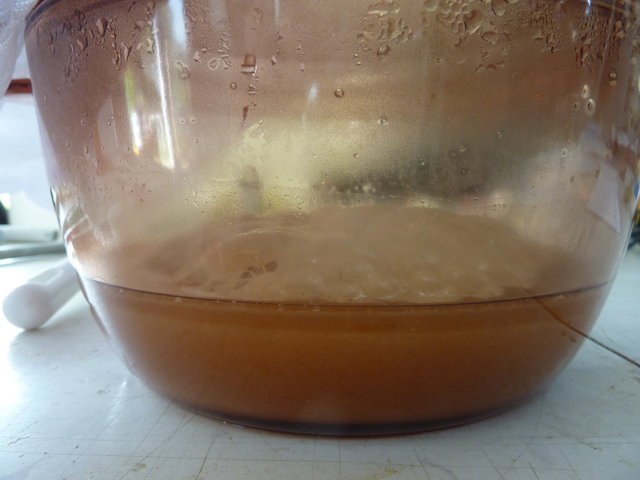 Voss#1_Starter.JPG (424.93 KiB) 11908 mal betrachtet Voss-Starter nach 2 h