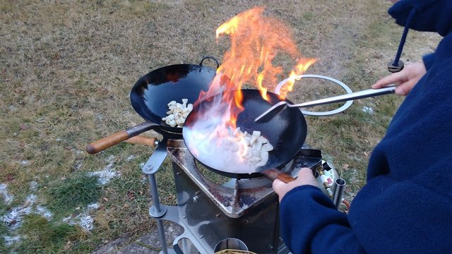 IMG_20161231_153011882.jpg