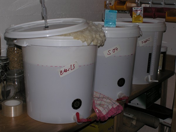 3_hefen_samba.jpg