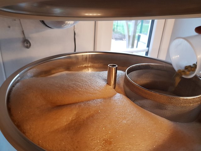 16-Hopfengabe.jpg (308.23 KiB) 6431 mal betrachtet Kochbeginn und 1. Hopfengabe