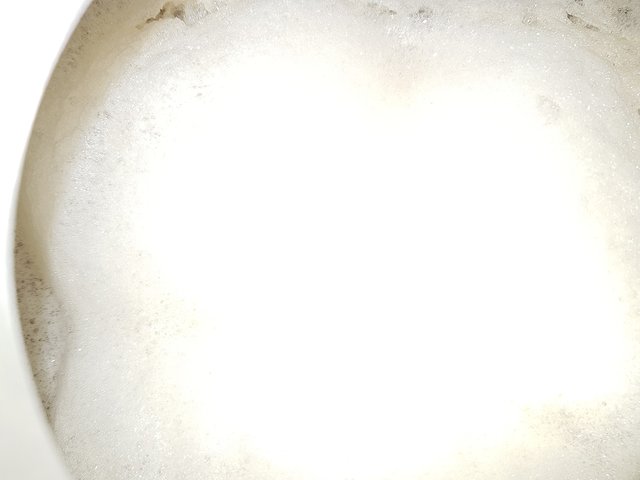 Gärung.jpg (185.98 KiB) 6120 mal betrachtet Nach 15 Stunden.