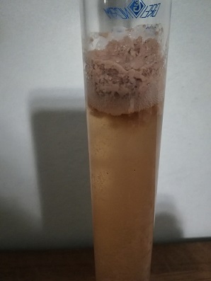 SVP Helles.jpg