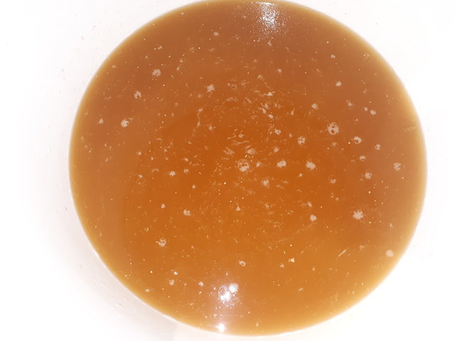 Gut
