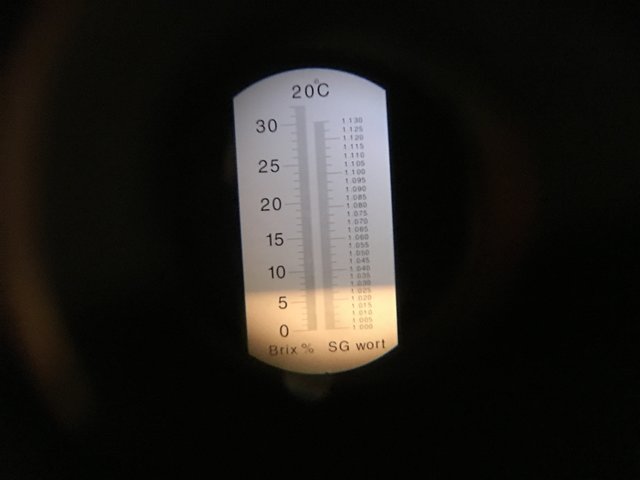 76 % SEVG