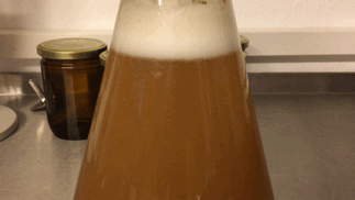 Gärung.gif