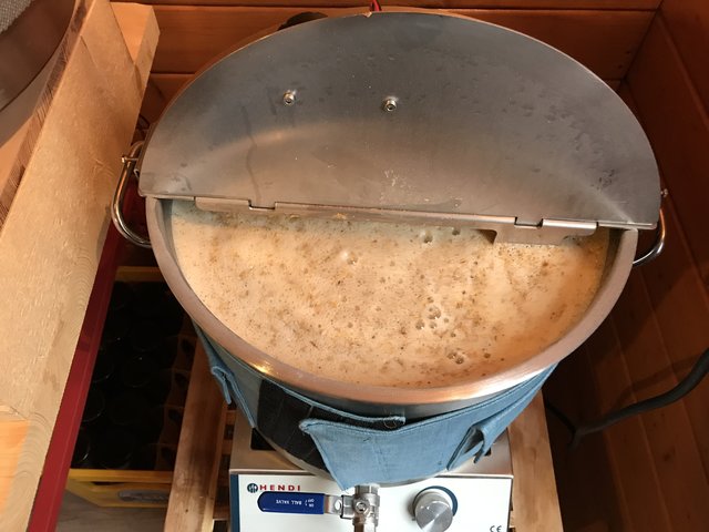 8 Kg Maische läuft mit Rühwerk...gerade so