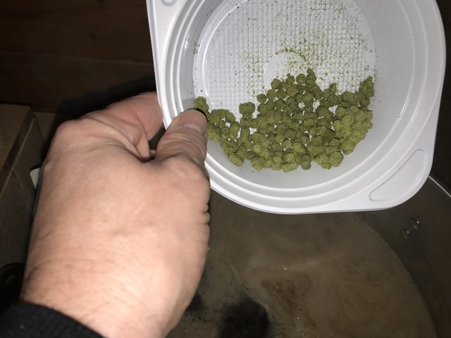 Erste Hopfengabe