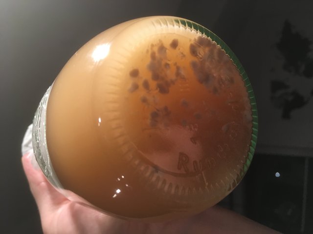 C89626C6-F0B7-45EC-94D0-3214A4BCE47E.jpeg