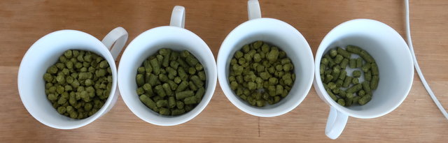 17 Hopfen.JPG