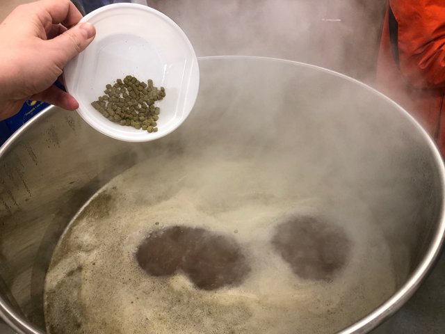 Bitterhopfengabe