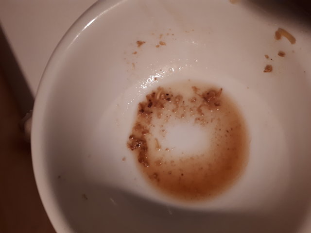 20181229_143932.jpg (1.53 MiB) 1878 mal betrachtet Maische ohne Jod