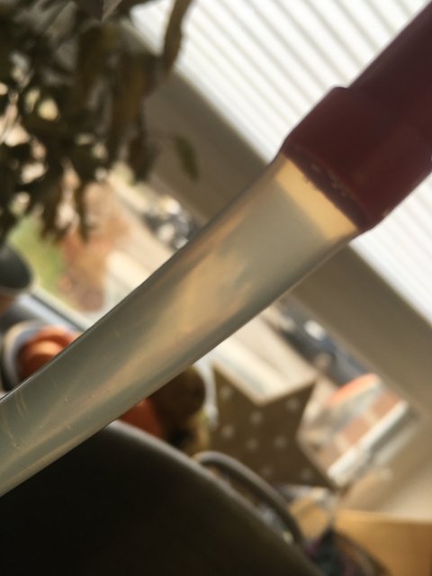14 319 Würze klar.JPG