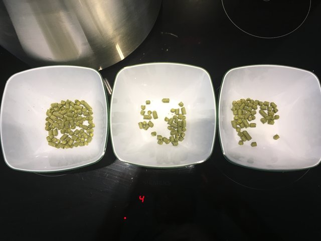 15 314 HOpfen.JPG