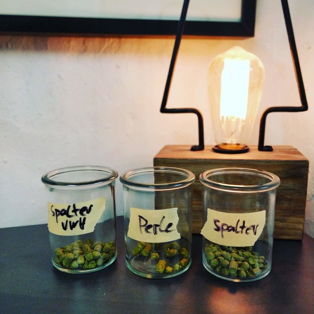 Hopfen.jpg
