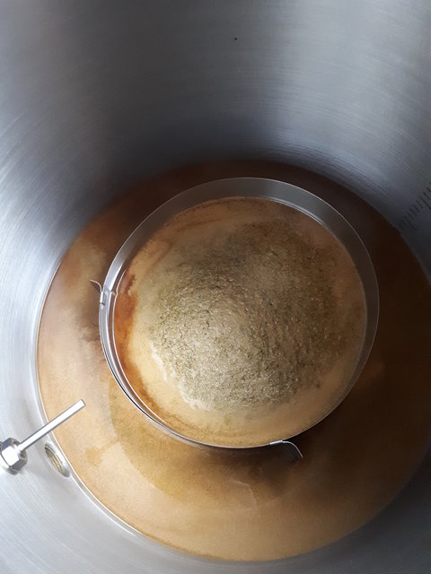 Trubkegel im Tortenring